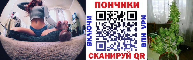 даркнет наркотические препараты  kraken онион  Рыльск  Каннабис план 